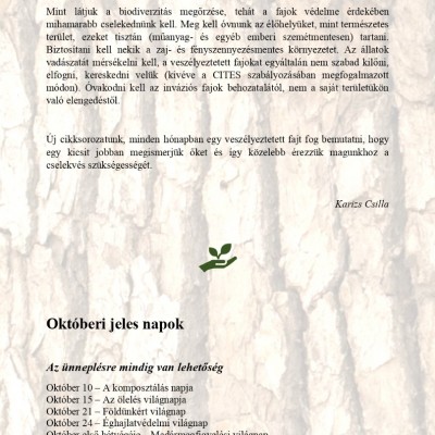 2025 JGI újság
