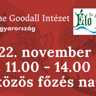 Főzés a piacon