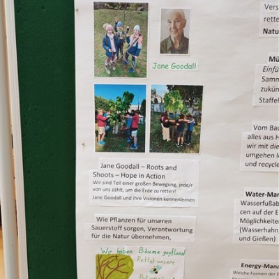 Jane Goodall Intézetek találkozója Bécsben az EUPP4 projekt keretében